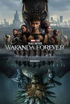 Black Panther: Wakanda Forever 2022 Türkçe Dublaj Full HD Filmi izle