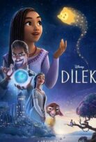 Dilek Wish Türkçe Dublaj Filmi izle