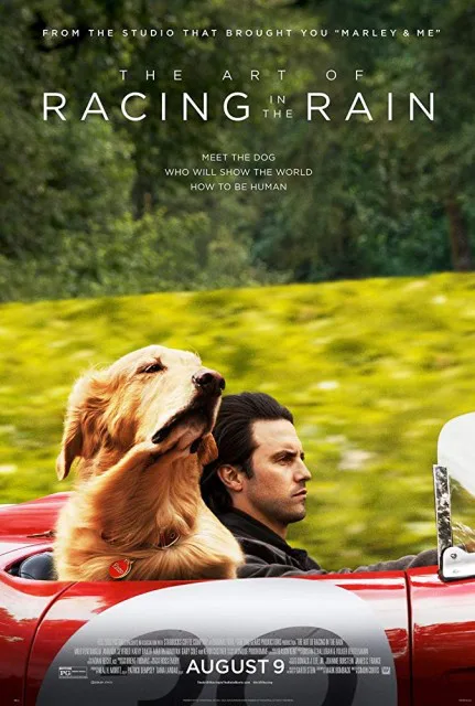 Enzo Yağmurda Yarış Sanatı 2019 Filmi HD 1080P izle