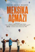 Meksika Açmazı Türkçe Dublaj Filmi izle