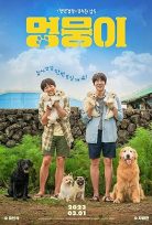 My Heart Puppy Meongmongi Türkçe Dublaj Full Filmi HD izle