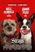 Kulağı Kesikler (Strays) Türkçe Dublaj hd full filmi izle