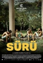 Sürü Türkçe Dublaj Filmi izle